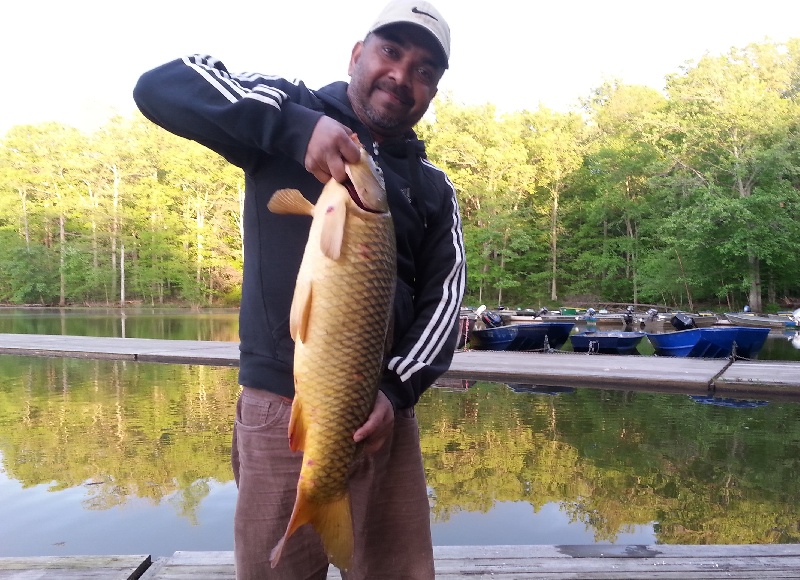 Carp-11lbs 