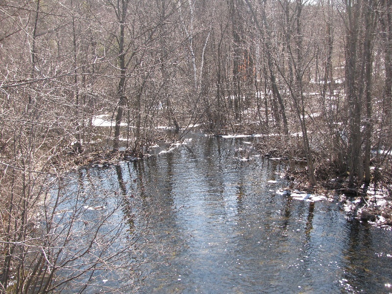 Falulah Brook